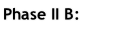 Phase II B: